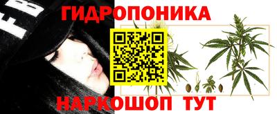 прущие крисы Кулебаки