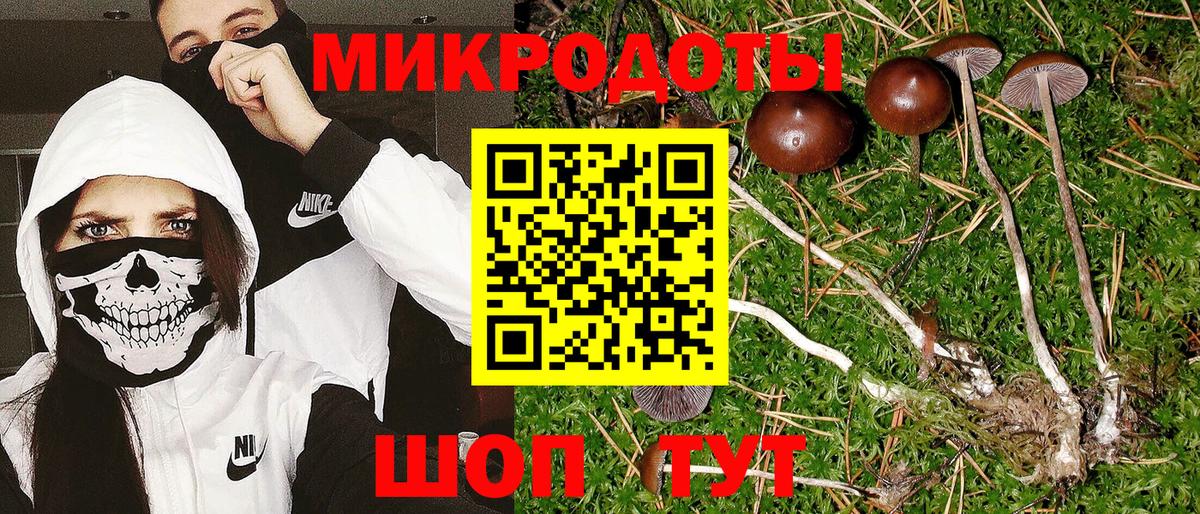 что такое   Псилоцибиновые грибы прущие грибы  Вход с VPN  Избербаш  Галлюциногенные грибы GOLDEN TEACHER 