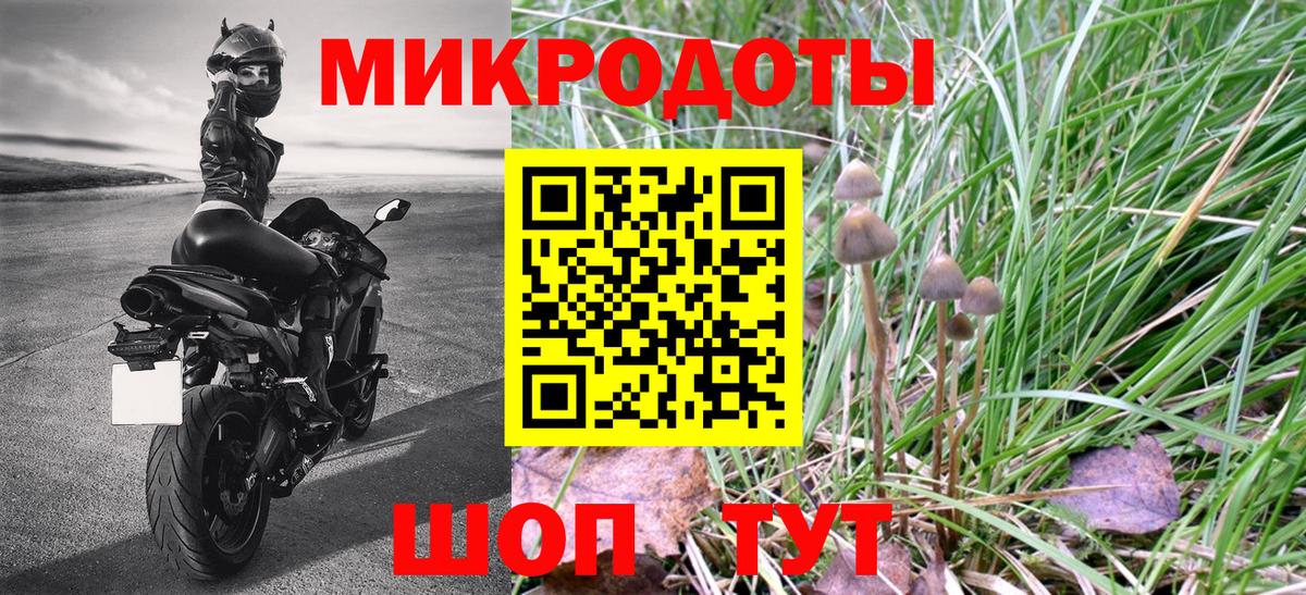 Псилоцибиновые грибы Magic Shrooms Избербаш